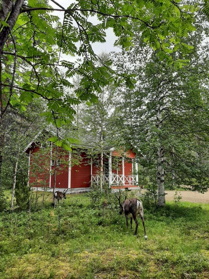 Kuosto Ja Luppo Villa Äkäslompolo Eksteriør billede