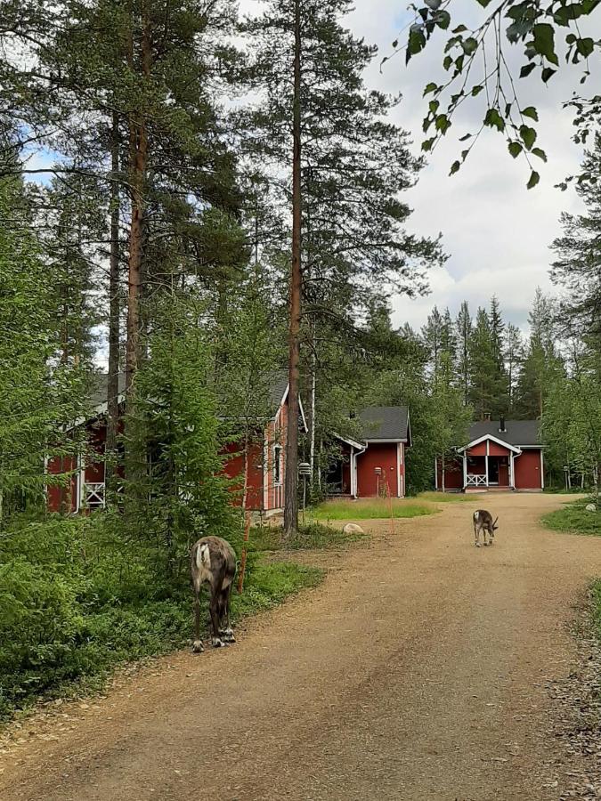 Kuosto Ja Luppo Villa Äkäslompolo Eksteriør billede